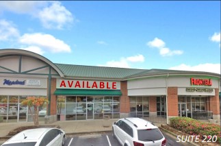 THE VILLAGE AT FLOWERS CROSSING